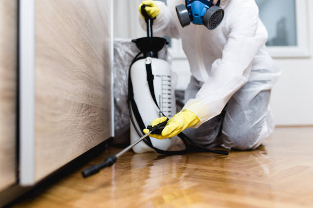 Best Pest Removal Services  in Bainbridge, GA
