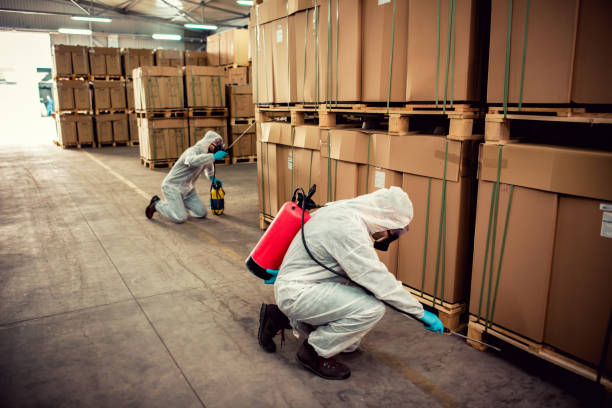 Best Ant Control Services  in Bainbridge, GA