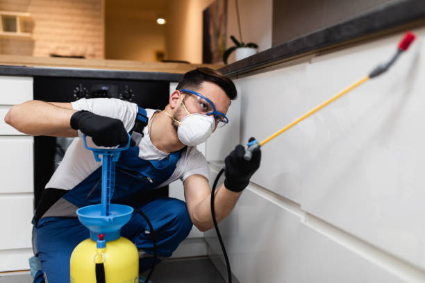 Best Bed Bug Extermination  in Bainbridge, GA