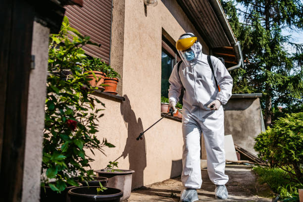 Best Spider Control Near Me  in Bainbridge, GA