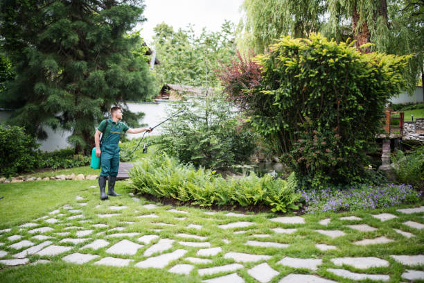 Best Best Pest Control Companies  in Bainbridge, GA
