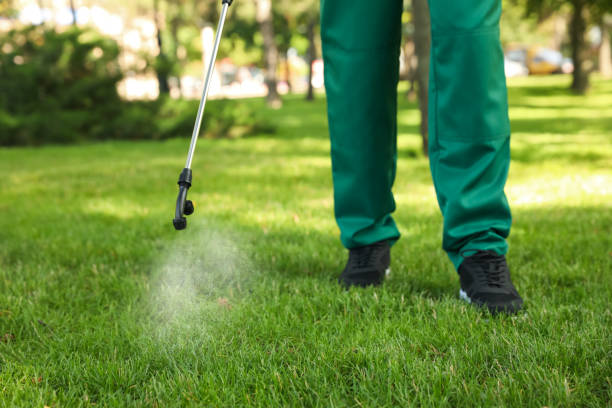 Best Best Pest Control Companies  in Bainbridge, GA