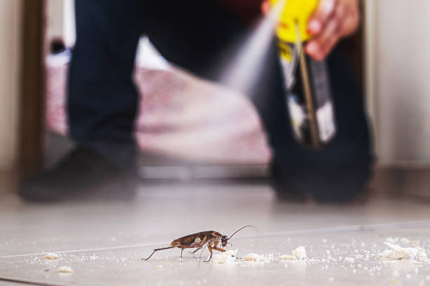 Best Cockroach Control Services  in Bainbridge, GA
