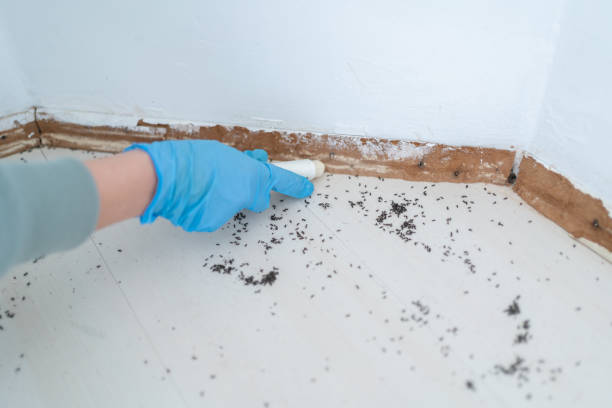 Best Pest Control Near Me in Bainbridge, GA