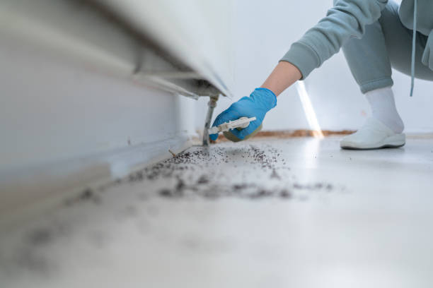 Best Emergency Pest Control  in Bainbridge, GA