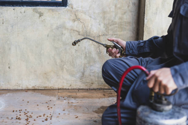Best Rat Extermination Near Me  in Bainbridge, GA